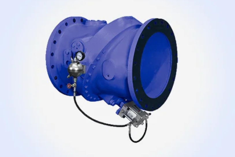 Disc Check Valve