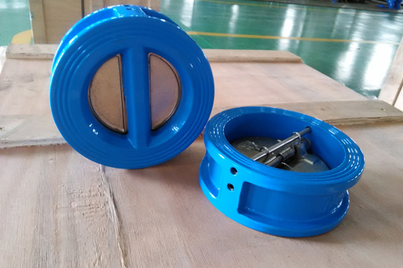 Dual Plate Check Valve