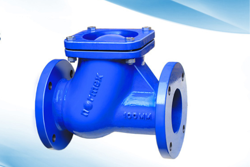 Ball Type Check Valve
