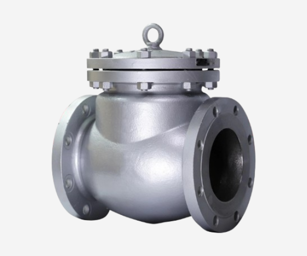 swing check valve